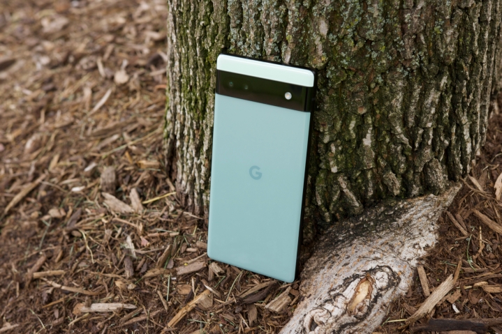 Google Pixel 6a در مقابل درخت ایستاده است.