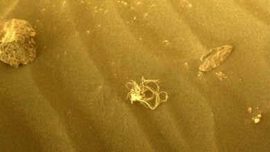 عجیب و غریب!  ناسا "اسپاگتی" مرموز را در مریخ کشف کرد.  وقت یک مهمانی بیگانه است؟
