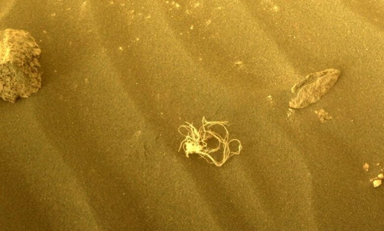 عجیب و غریب!  ناسا "اسپاگتی" مرموز را در مریخ کشف کرد.  وقت یک مهمانی بیگانه است؟