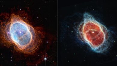 تلسکوپ فضایی جیمز وب به تازگی مرگ یک ستاره را ثبت کرده است