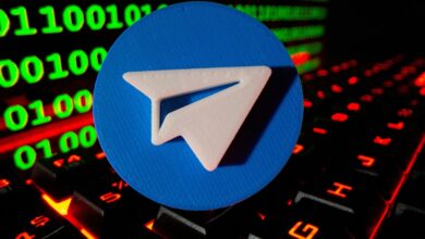 به گفته سازمان ملل، نیمی از پست‌های مرتبط با هولوکاست در تلگرام حقایق را انکار یا تحریف می‌کنند، ۱۹ درصد در توییتر.