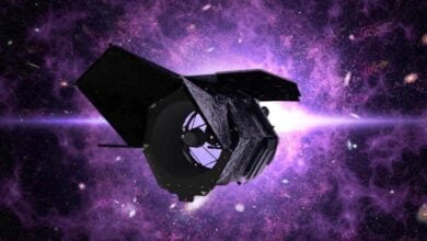 تلسکوپ فضایی جیمز وب بالا، تلسکوپ بعدی ناسا که از روی سفینه فالکون هوی اسپیس ایکس پرتاب می شود