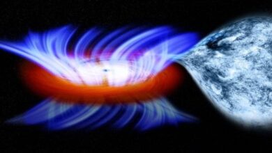 دانشمندان سیاهچاله اسرارآمیز "خواب" را در کهکشان همسایه کشف کردند
