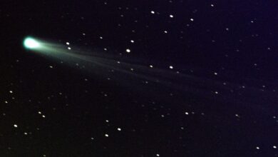 دنباله دار غول پیکر K2، دو برابر قله اورست، به سمت زمین می رود!  ناسا آب و هوا را فاش می کند