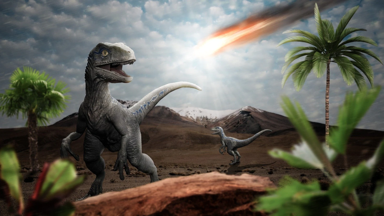 از سیارک ها می ترسید؟  اینگونه بود که سقوط یک سیارک روی زمین باعث انقراض دایناسورها شد