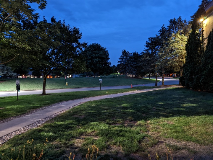 عکس درختان، آسمان شب و پیاده رو که در اواخر شب گرفته شده است.