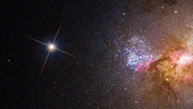 اولین ستاره‌هایی که در مه‌های «جهان اولیه» دیده می‌شوند: نظرسنجی