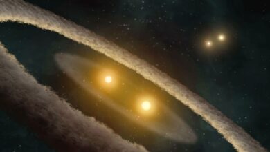 یک یافته تاریخی!  منظومه سه ستاره پیدا شد.  1 ستاره 16 برابر بزرگتر از خورشید ما است.  این چیز را با زمین به اشتراک می گذارد