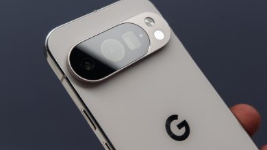 Google Pixel 10 Pro / 10 Pro XL